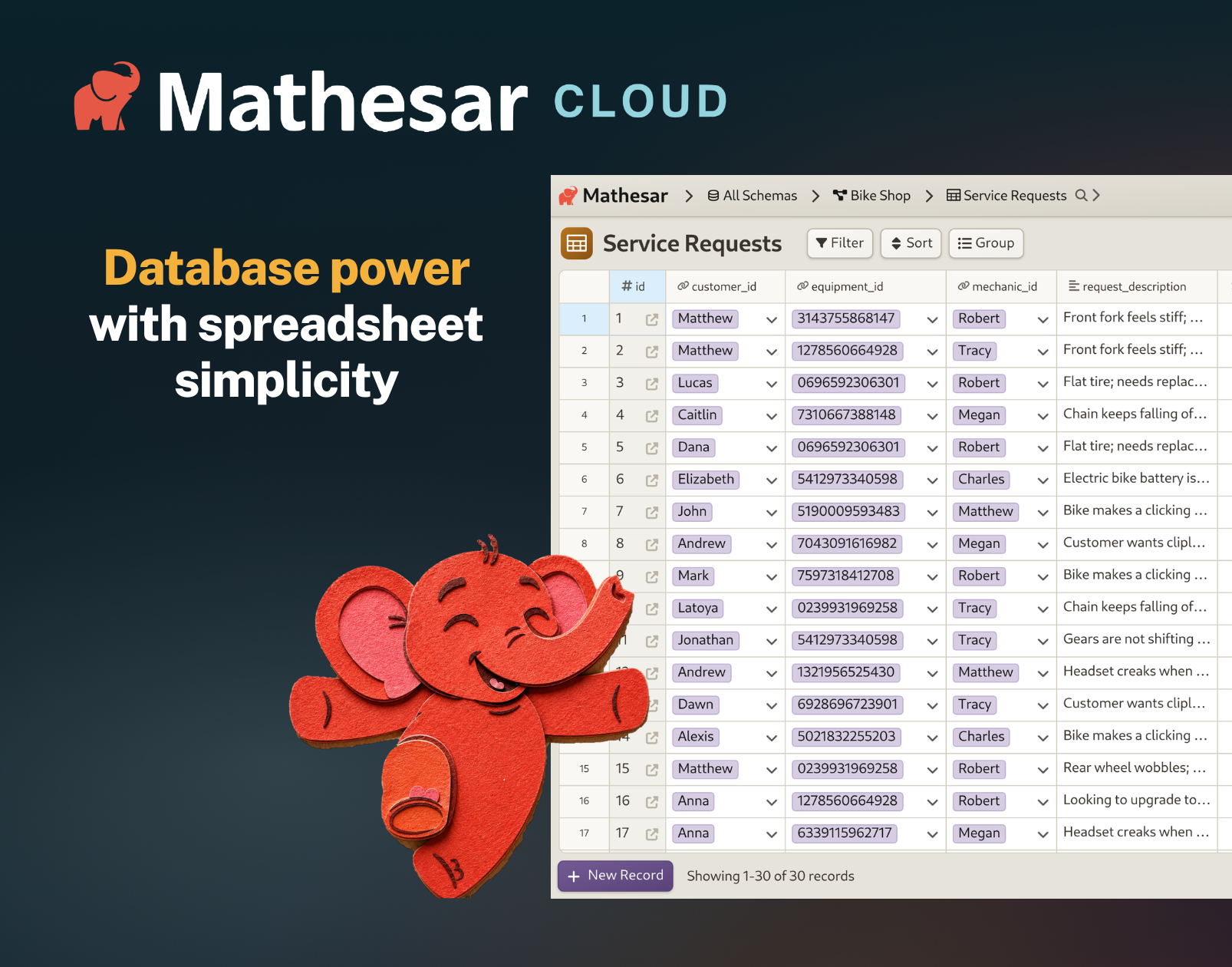 Mathesar Cloud: database power with spreadsheet simplicity.